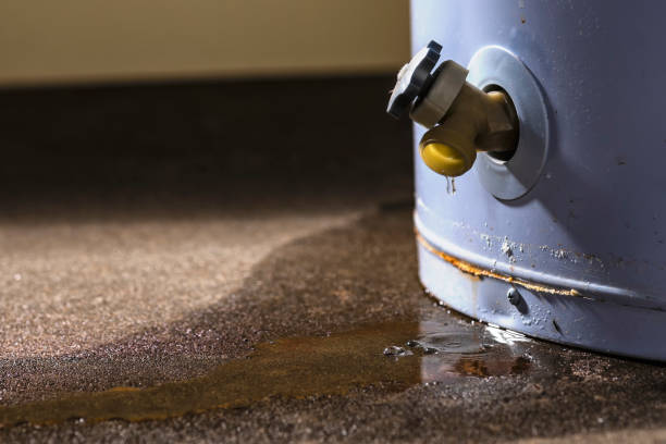  Mayville, WI Water damage restoration Pros