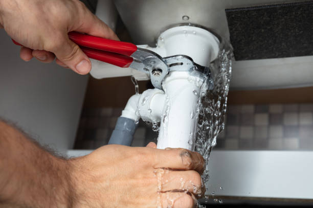 Best Flooded house restoration  in Mayville, WI