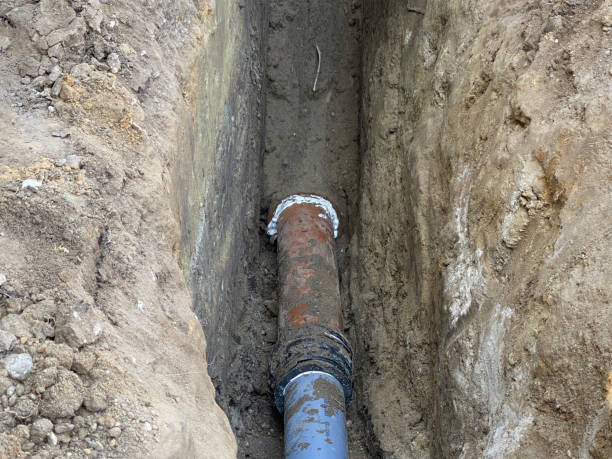 Best Basement water damage restoration  in Mayville, WI