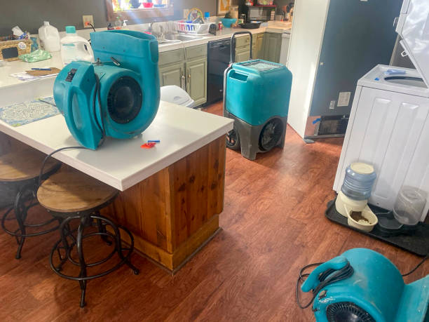 Best Water damage restoration company  in Mayville, WI