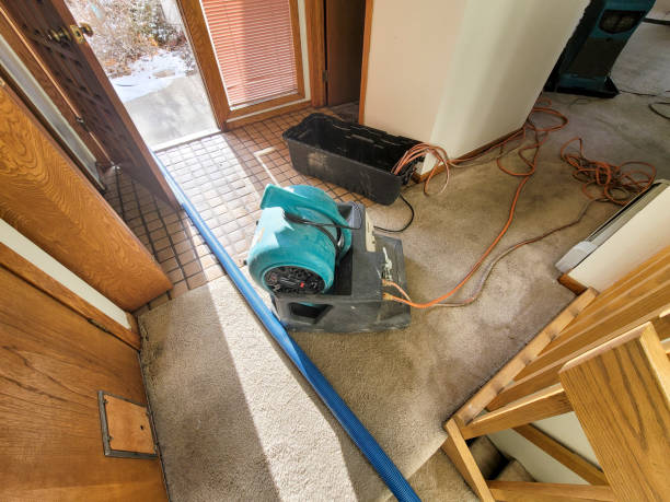 Best Commercial water damage restoration  in Mayville, WI