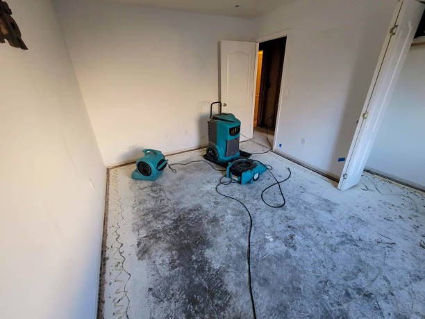 Water damage restoration insurance claims in Mayville, WI