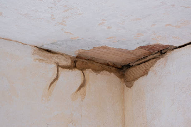 Best Professional water damage repair  in Mayville, WI