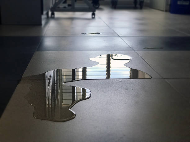 Best 24/7 water damage repair  in Mayville, WI