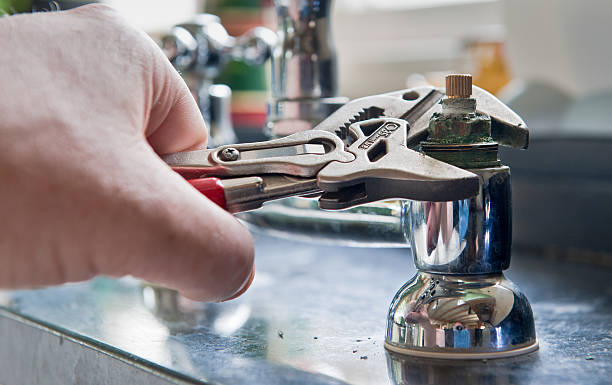 Best Carpet water damage restoration  in Mayville, WI