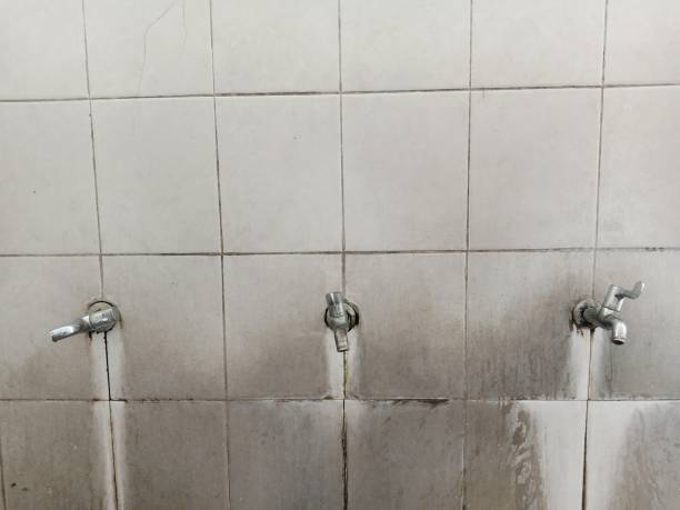Best Water damage restoration near me  in Mayville, WI