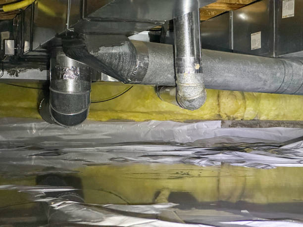 Best Water damage restoration near me  in Mayville, WI