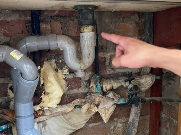 Best Commercial water damage restoration  in Mayville, WI