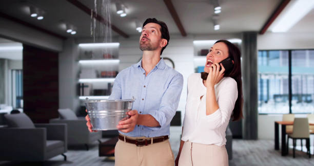 Best Basement water damage restoration  in Mayville, WI