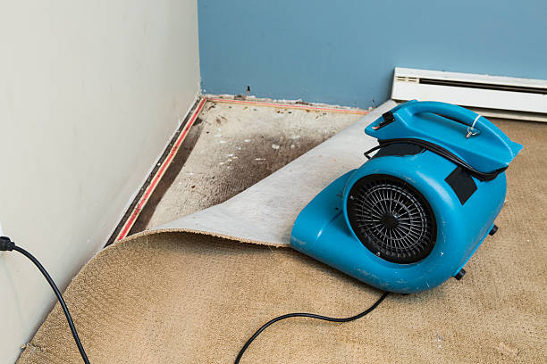 Best 24/7 water damage repair  in Mayville, WI